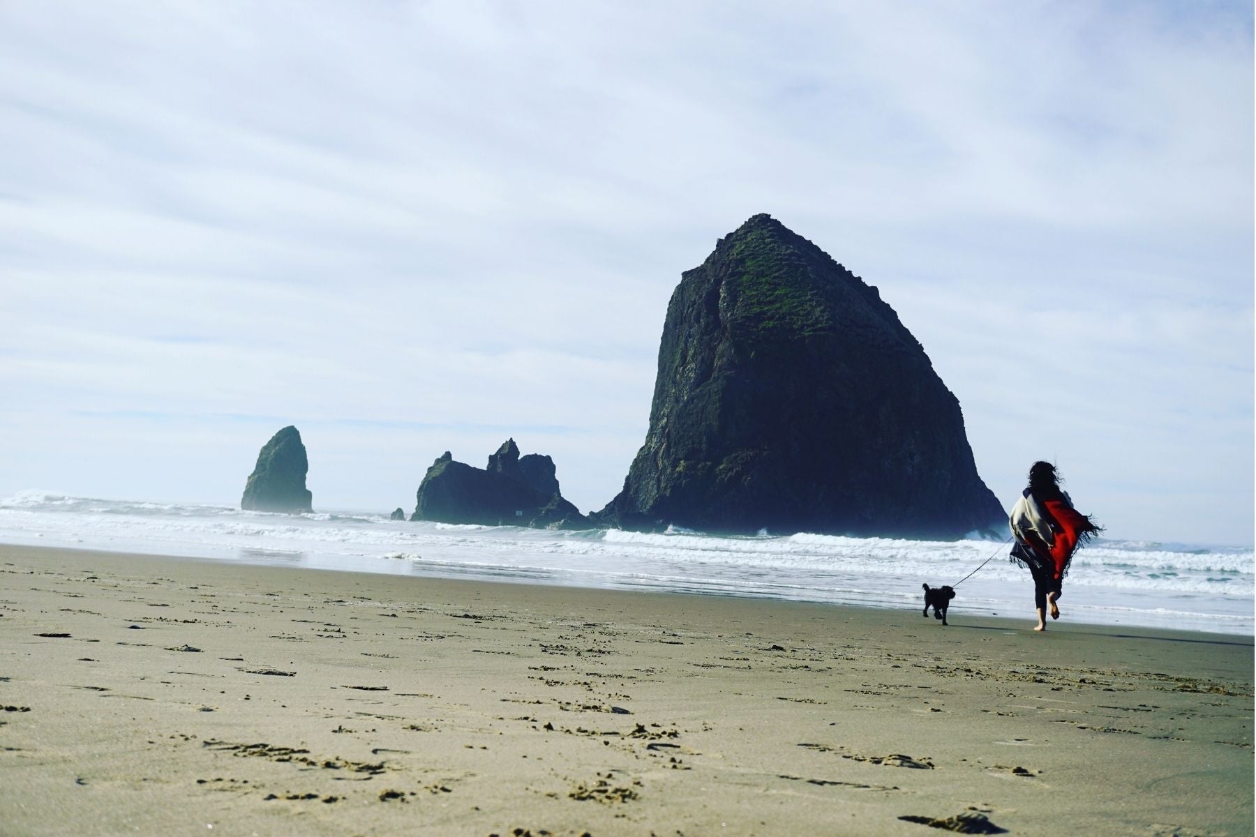 A beach scene with a woman walking with her dog