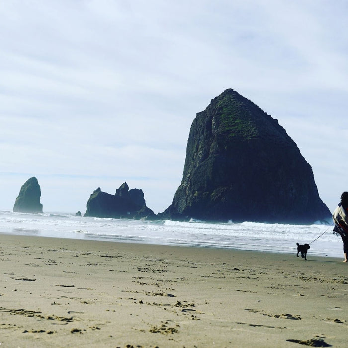 A beach scene with a woman walking with her dog