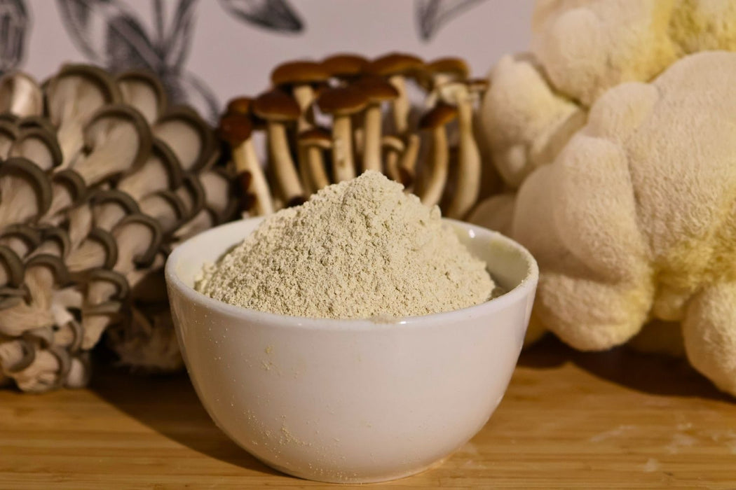 Bulk Mushroom Powder