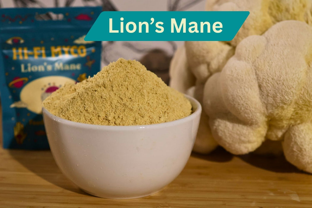 Bulk Mushroom Powder